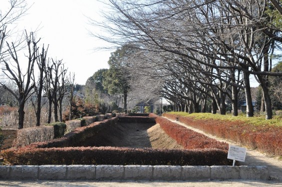 埼玉県川口市　赤山城（赤山陣屋）DSC_0068