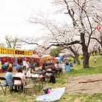 20140402　埼玉県北本市　桜堤（桜土手）の満開の桜DSC_0548