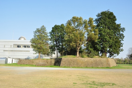 群馬県館林市　館林城　本丸土塁跡 DSC_0153