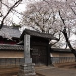 20140331 埼玉県伊奈町小針新宿 西光寺 桜満開 DSC_0217