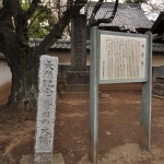 20140331 埼玉県伊奈町小針新宿 西光寺 桜満開 DSC_0215