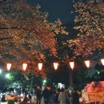20140405　東京都上野恩師公園　夜桜DSC_0072