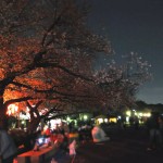 20140405　東京都上野恩師公園　夜桜DSC_0073