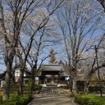 20140401 埼玉県上尾市中分 東栄寺 桜満開ですDSC_0052