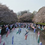 群馬県館林市の「こいのぼりの里まつり」DSC_0069