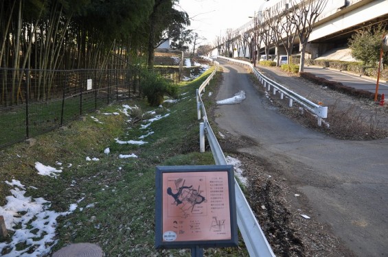 埼玉県川口市　赤山城（赤山陣屋）DSC_0095