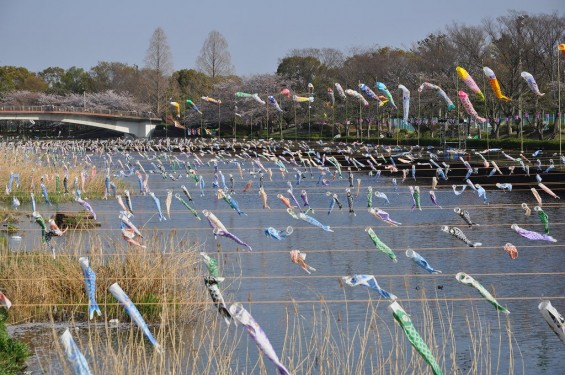 群馬県館林市の「こいのぼりの里まつり」DSC_0065