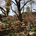 20140411　埼玉県上尾市今泉　十連寺さまの境内DSC_0120