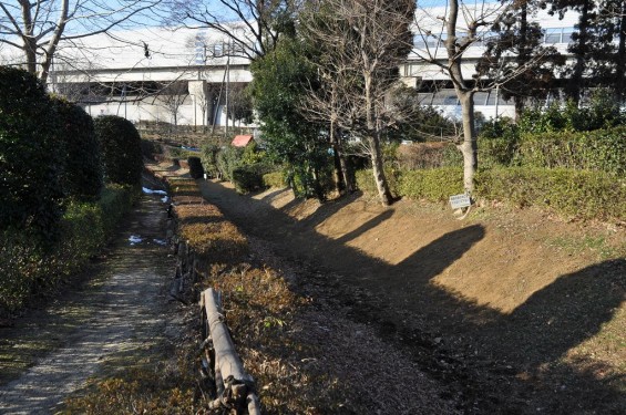 埼玉県川口市　赤山城（赤山陣屋）DSC_0108