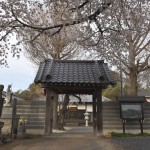 20140331 埼玉県伊奈町小針新宿 西光寺 桜満開 DSC_0134