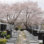 20140402　埼玉県東松山市　森林公園昭和浄苑　桜満開DSC_0622