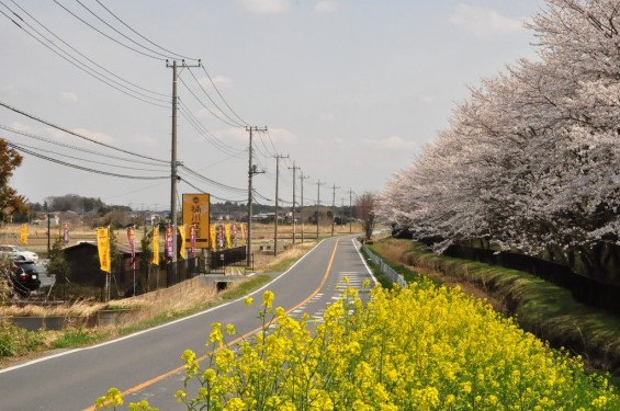 埼玉県桶川市　桶川霊園に行ってきましたDSC_0394