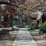 20140411　埼玉県上尾市今泉　十連寺さまの境内DSC_0102