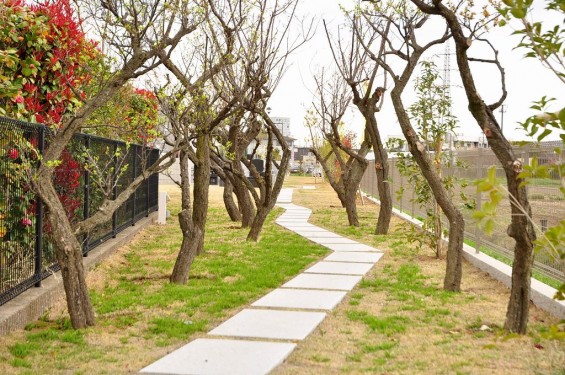 埼玉の霊園　さいたま市見沼区「大宮霊園」に行ってきましたDSC_0541