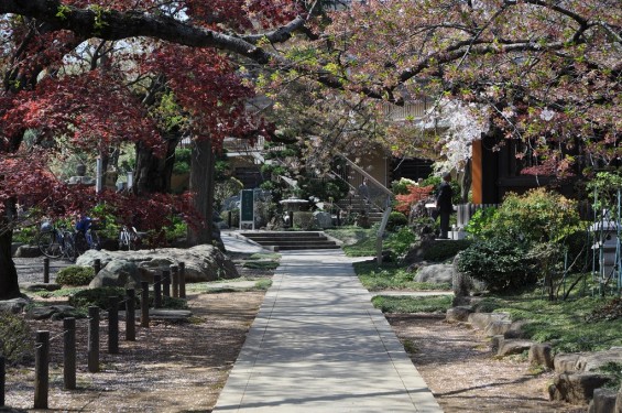 20140411 平成26年度　上尾市仏教会顧問会総会　十連寺で開催DSC_0102