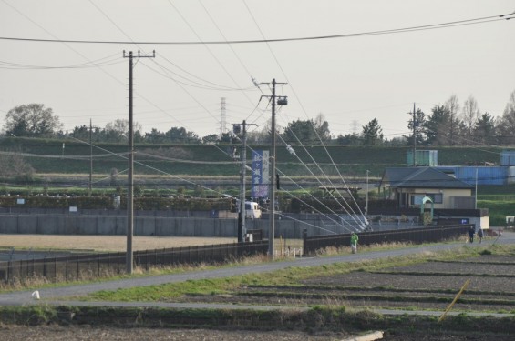 20140401 埼玉県さいたま市桜区 「鴨川堤桜通り公園」の桜と「うらわ秋ヶ瀬霊園」DSC_0344