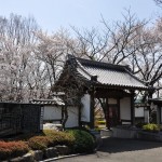 20140401 埼玉県上尾市中分 東栄寺 桜満開ですDSC_0019