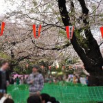 20140405　東京都上野恩師公園　夜桜DSC_0016