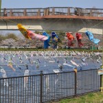 群馬県館林市の「こいのぼりの里まつり」DSC_0092