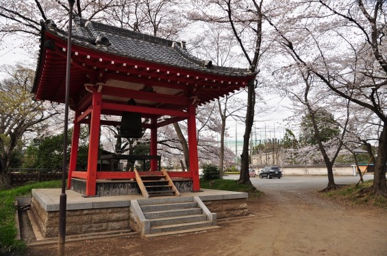 20140331 埼玉県伊奈町小針新宿 西光寺 桜満開 DSC_0201