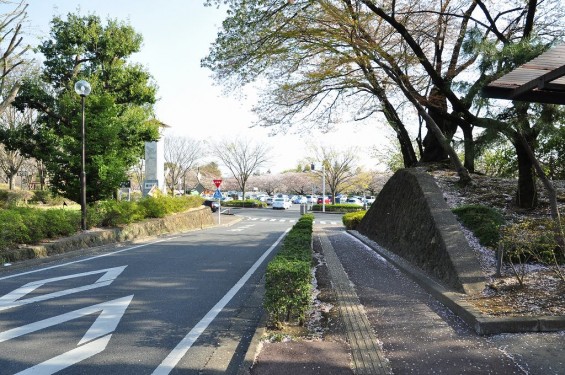 群馬県館林市　館林城 市役所前の土塁？DSC_0058