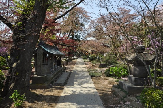 20140411　埼玉県上尾市今泉　十連寺さまの境内DSC_0098