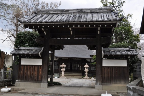 20140404　埼玉県行田市佐間　高源寺の桜が満開DSC_0367