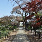 20140411　埼玉県上尾市今泉　十連寺さまの境内DSC_0115