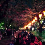 20140405　東京都上野恩師公園　夜桜DSC_0039