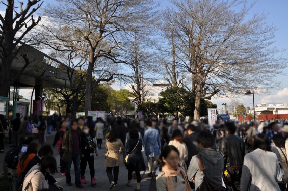 20140405　東京都上野恩師公園　夜桜DSC_0001