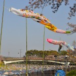 群馬県館林市の「こいのぼりの里まつり」DSC_0080