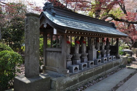 20140411　埼玉県上尾市今泉　十連寺さまの境内DSC_0101