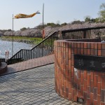 群馬県館林市の「こいのぼりの里まつり」DSC_0097