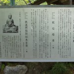 都幾山 慈光寺の菁莪（しゃが）DSCF5270