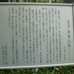 都幾山 慈光寺の菁莪（しゃが）DSCF5253