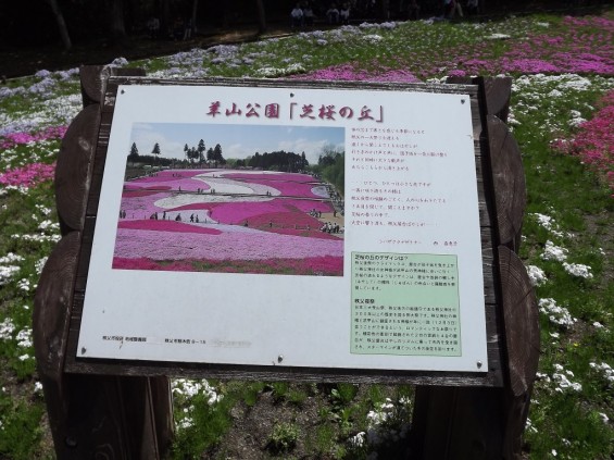 20140502 埼玉県秩父市羊山公園の芝桜DSCF1166