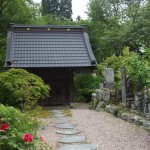 都幾山 慈光寺の菁莪（しゃが）DSCF5276