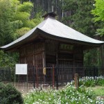 都幾山 慈光寺の菁莪（しゃが）DSCF5265