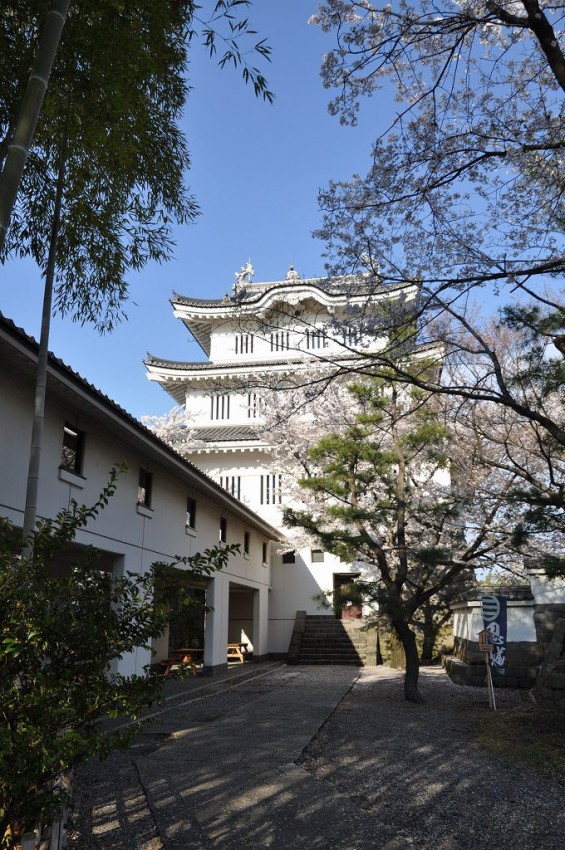 埼玉県行田市　忍城　三階櫓と桜DSC_0469