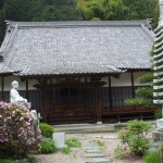 都幾山 慈光寺の菁莪（しゃが）DSCF5277