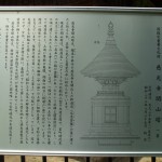 都幾山 慈光寺の菁莪（しゃが）DSCF5262