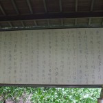 都幾山 慈光寺の菁莪（しゃが）DSCF5254