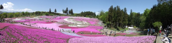 20140502 埼玉県秩父市羊山公園の芝桜DSCF1136