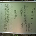 都幾山 慈光寺の菁莪（しゃが）DSCF5256