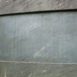 都幾山 慈光寺の菁莪（しゃが）DSCF5252
