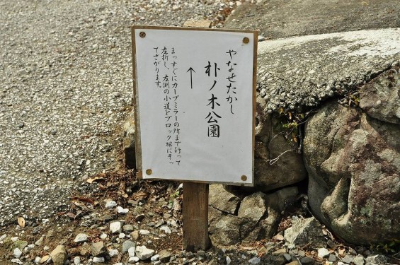 20140430 やなせたかし 墓 朴の木公園20140430 やなせたかし 墓 朴の木公園DSC_0122