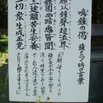 都幾山 慈光寺の菁莪（しゃが）DSCF5239