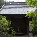 都幾山 慈光寺の菁莪（しゃが）DSCF5273