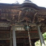 都幾山 慈光寺の菁莪（しゃが）DSCF5246