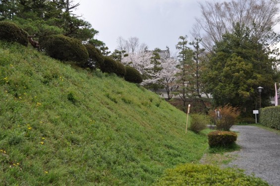 埼玉県行田市　忍城 本丸土塁DSC_0375